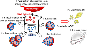 Exosomes: The Harbingers of Disease